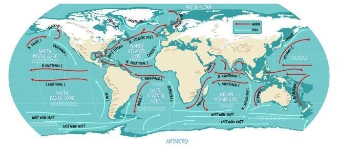 Organ and Earth system mapping — source visual 4